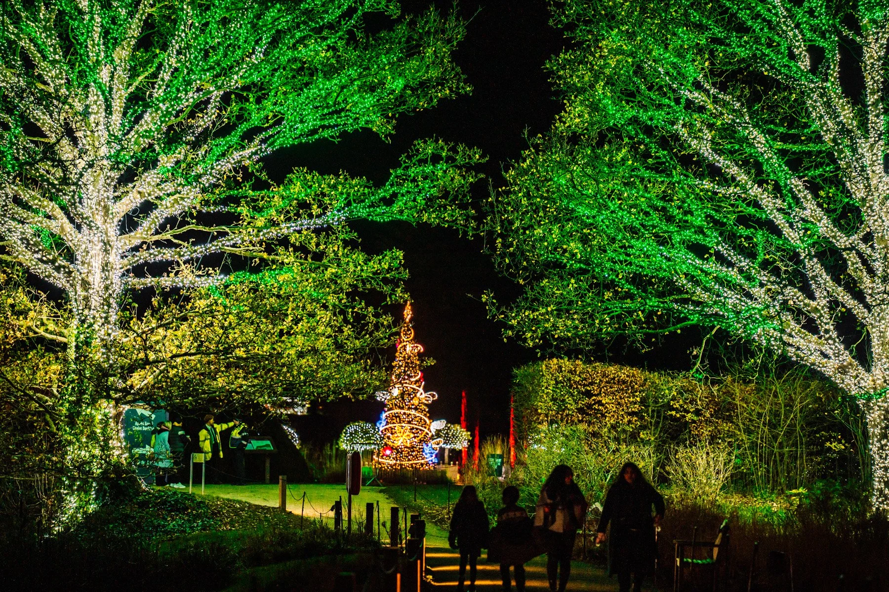 Winter Light Trail Trentham 2025 LR-162.jpg