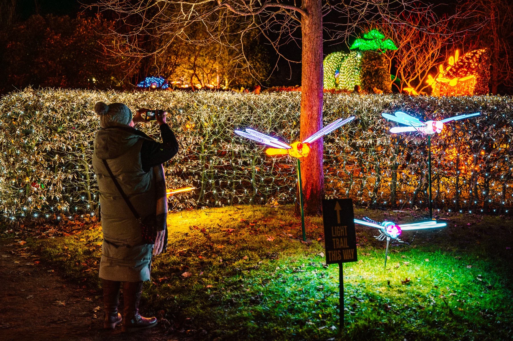 Winter Light Trail Trentham 2025 LR-94.jpg