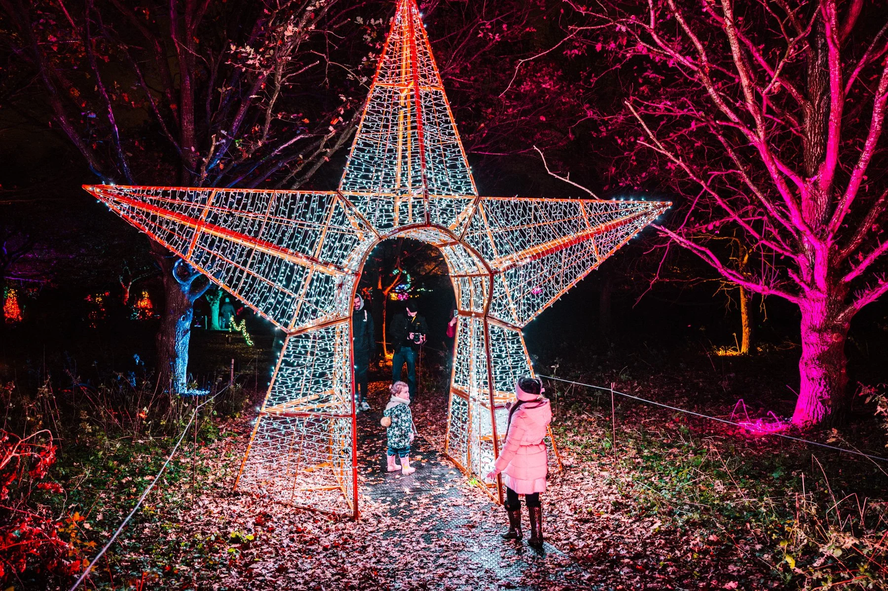 Winter Light Trail Northampton 2025 LR-53.jpg