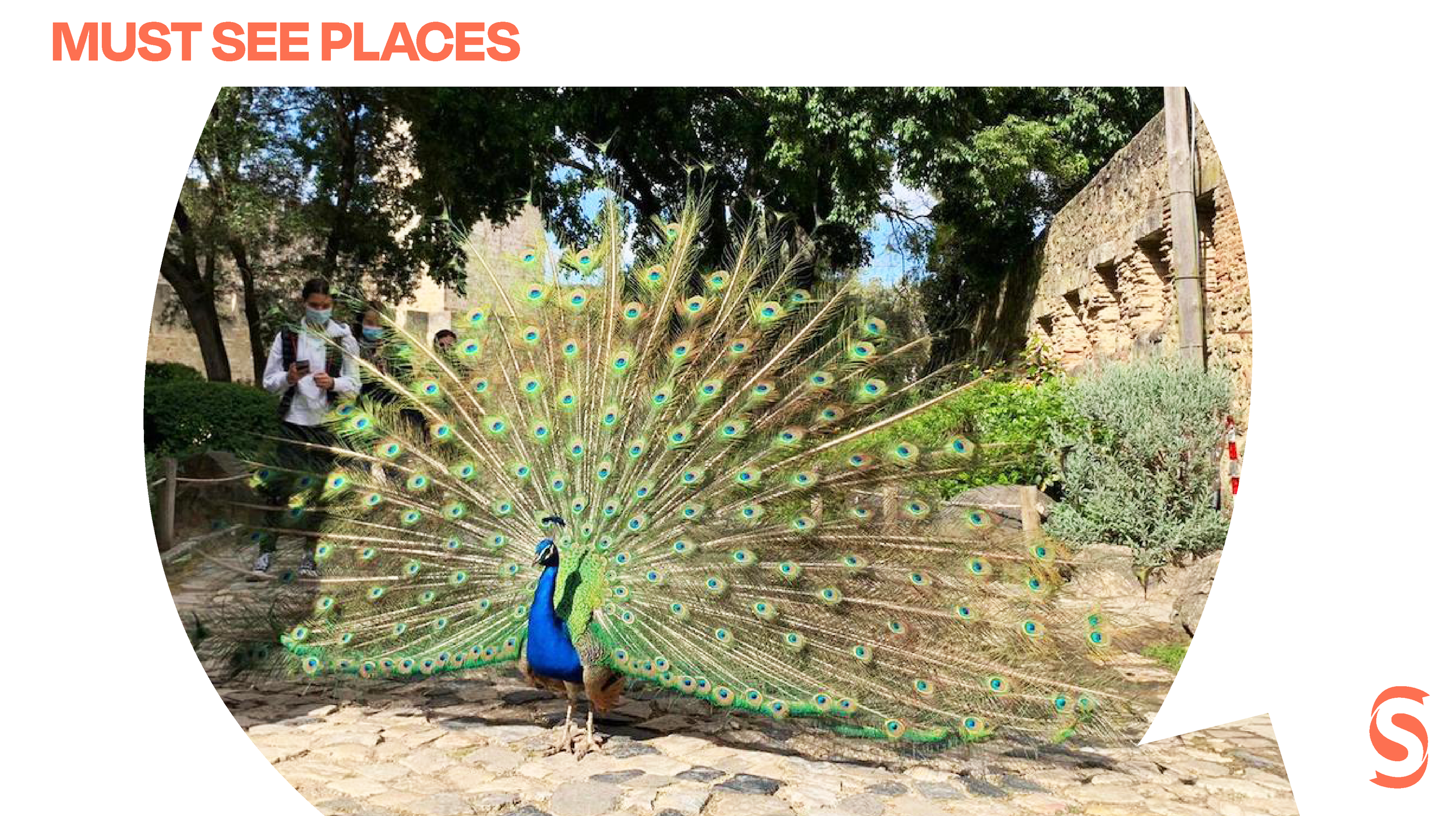 MUST SEE PLACES: LISBON CASTLE OF ST. GEORGE (CASTELO DE SÃO JORGE)