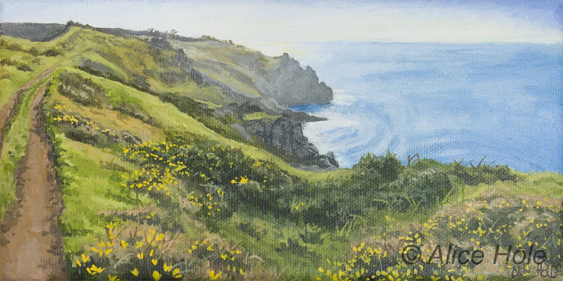 The gorse was shining almost as brightly as the sunshine on this glorious spring afternoon on the coastal path near Mullion.