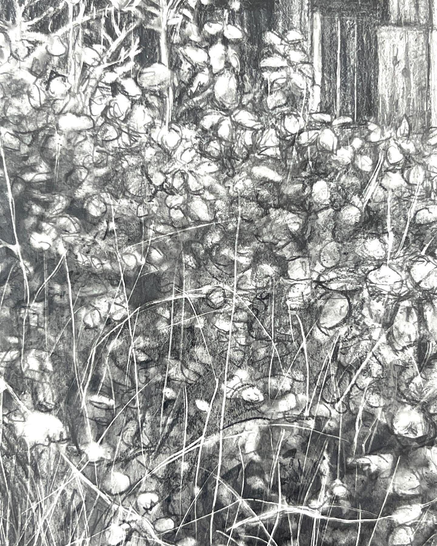 Detail from my current WIP ✍️ 
#drawingdetail #detail #artworkdetail #artdetail #drawing #graphite #graphitedrawing #alicehole #aliceholeartist