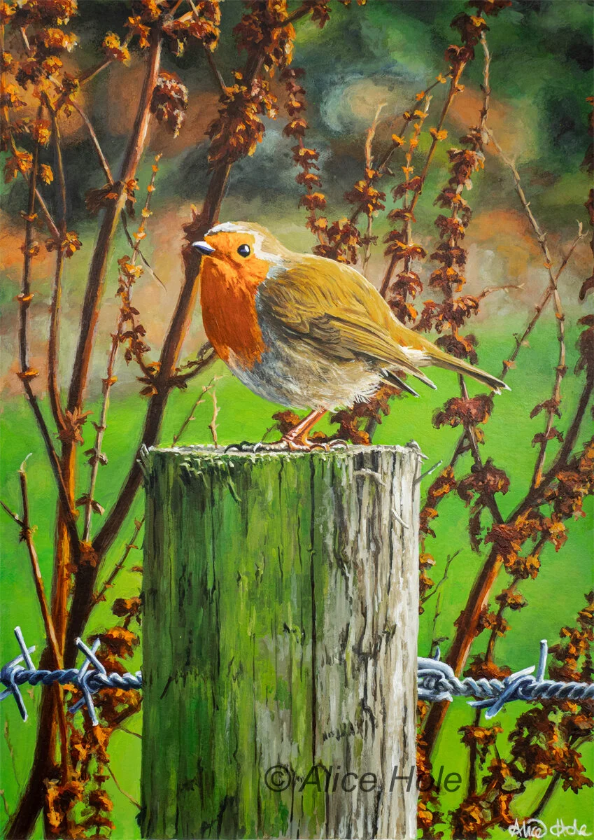 'A Penrose Robin' — Alice Hole - Artist