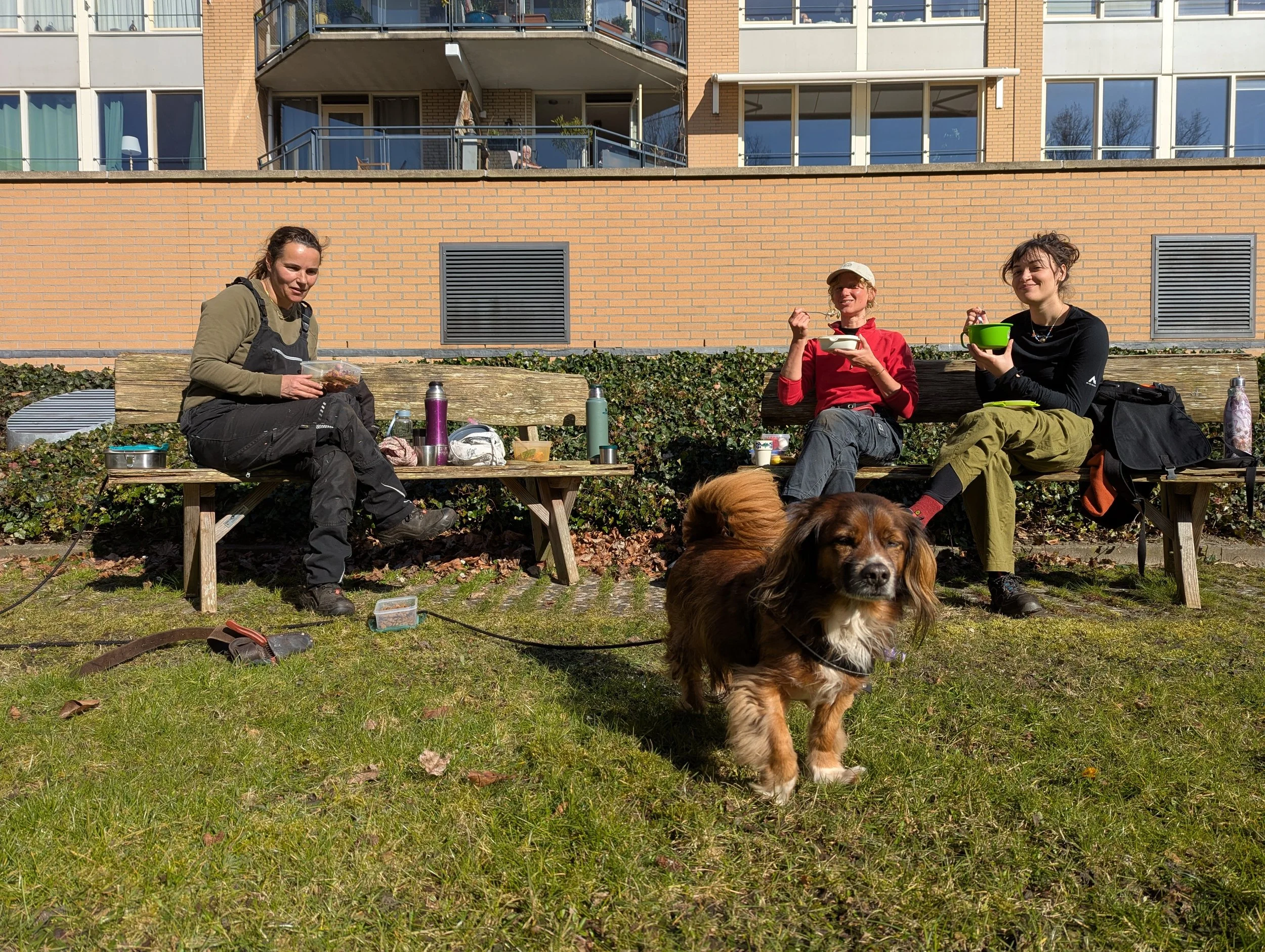 lunchpauze in maart.jpg