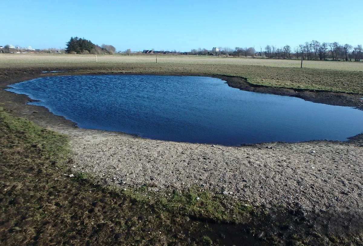 Vorgezogene Artenschutzmaßnahmen Fehmarnbeltquerung