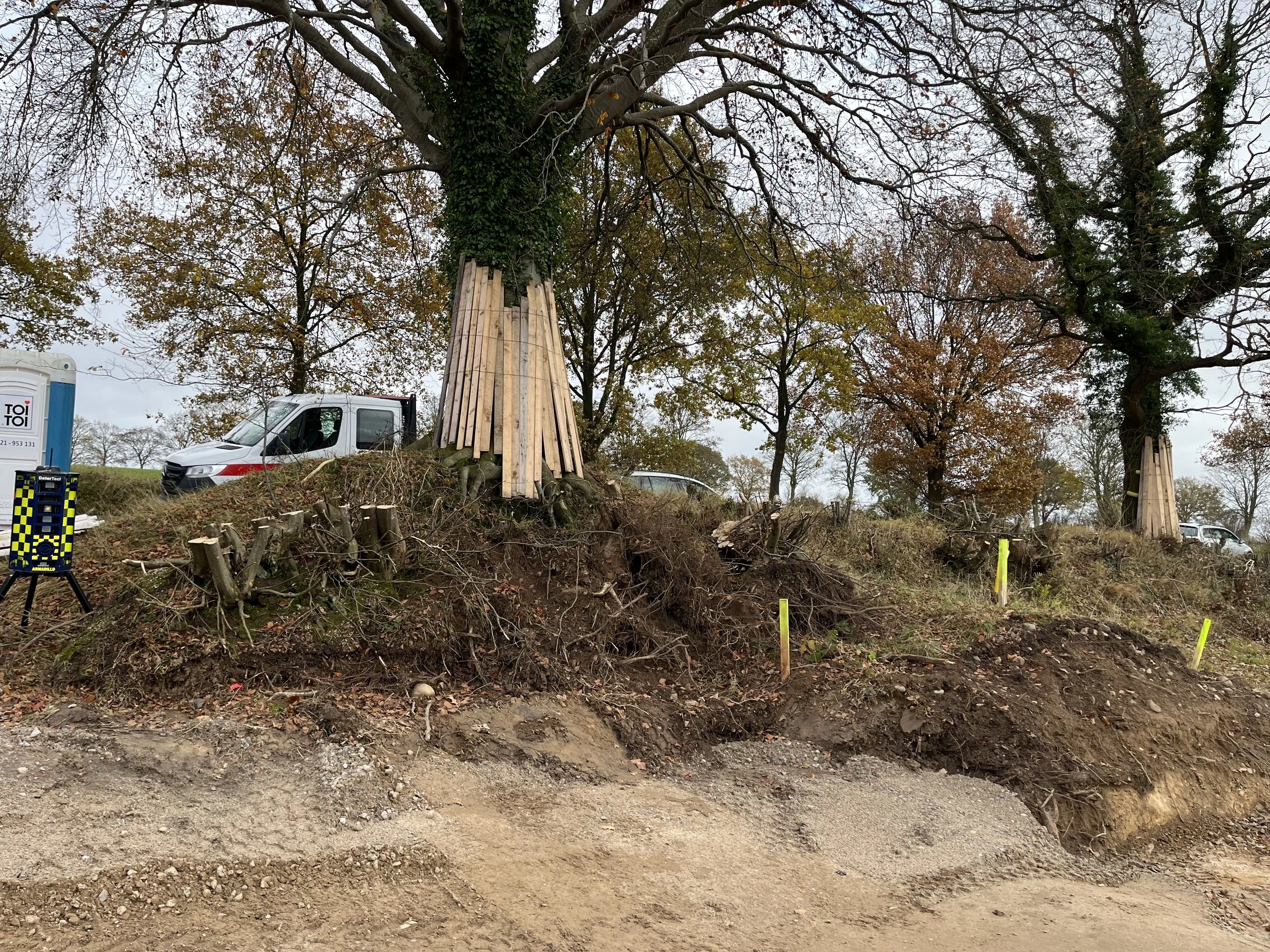 UBB_Gehoelzschutz_besonders_wertvolle_Eiche.jpg