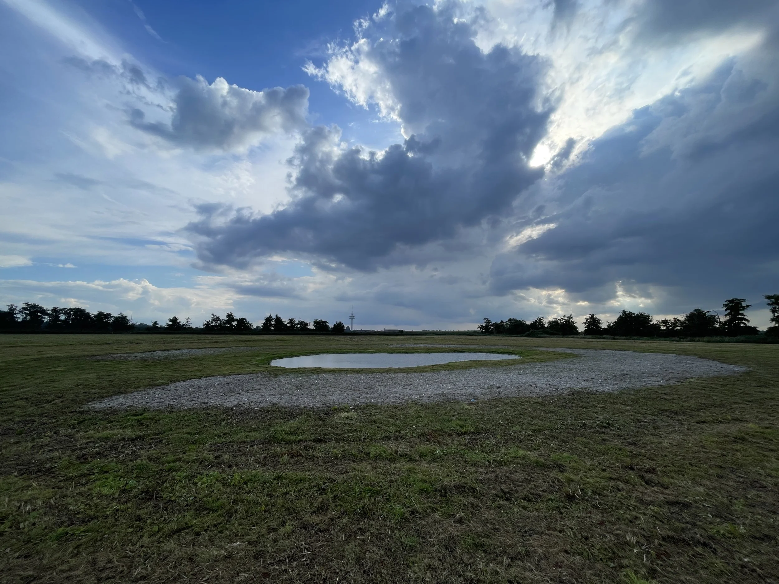  CEF-Maßnahme für den Sandregenpfeifer 