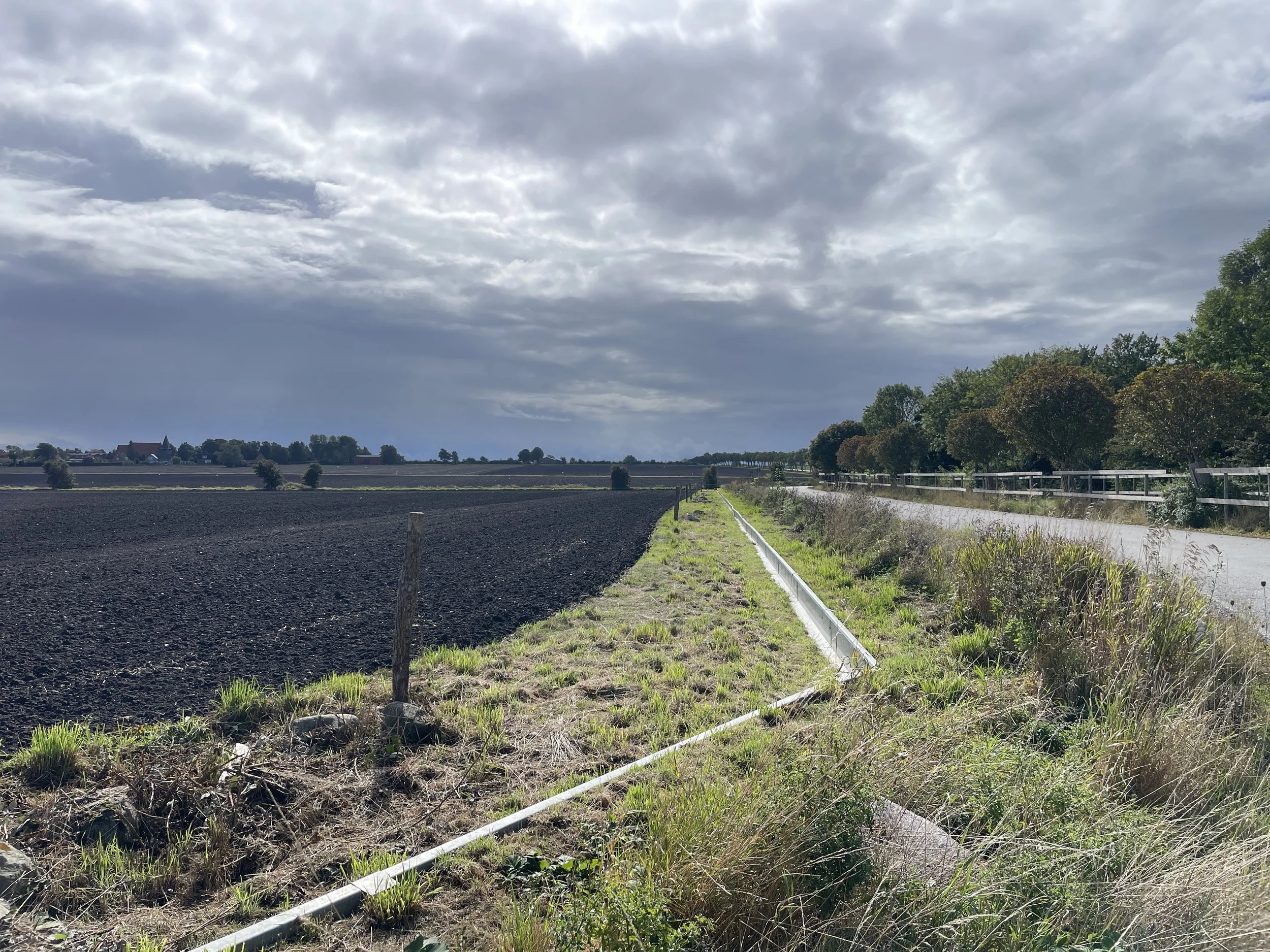  Amphibienleiteinrichtung zum Schutz der Tiere vor dem Überqueren einer Baustraße 