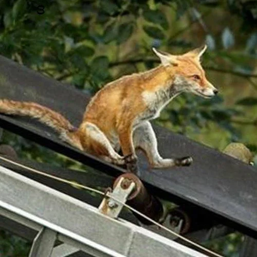 Antiskating w/ Yann Eras #12