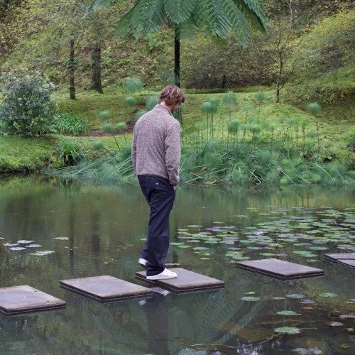 Cosmo Polite - Demlar 