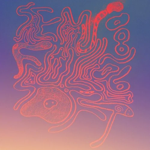 Lune Demi Aile - SemiFull Soft 