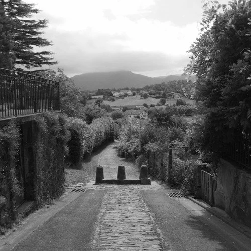 Cui Cui - Antoine Bellanger