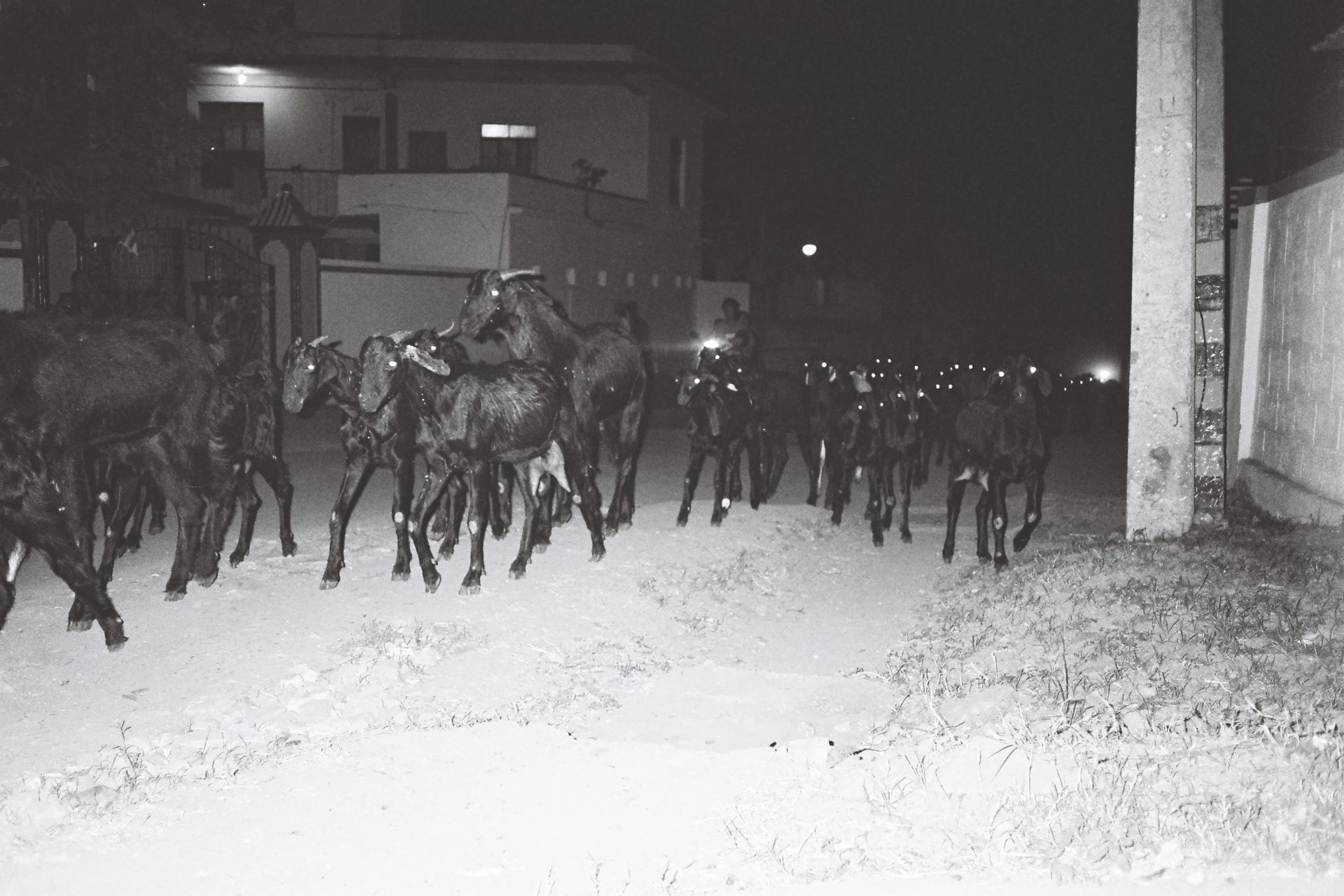 Gros Volume sur la Molle w/ Lucien James #15