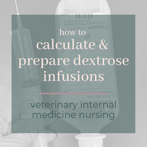 How to calculate and prepare dextrose infusions — Veterinary Internal  Medicine Nursing