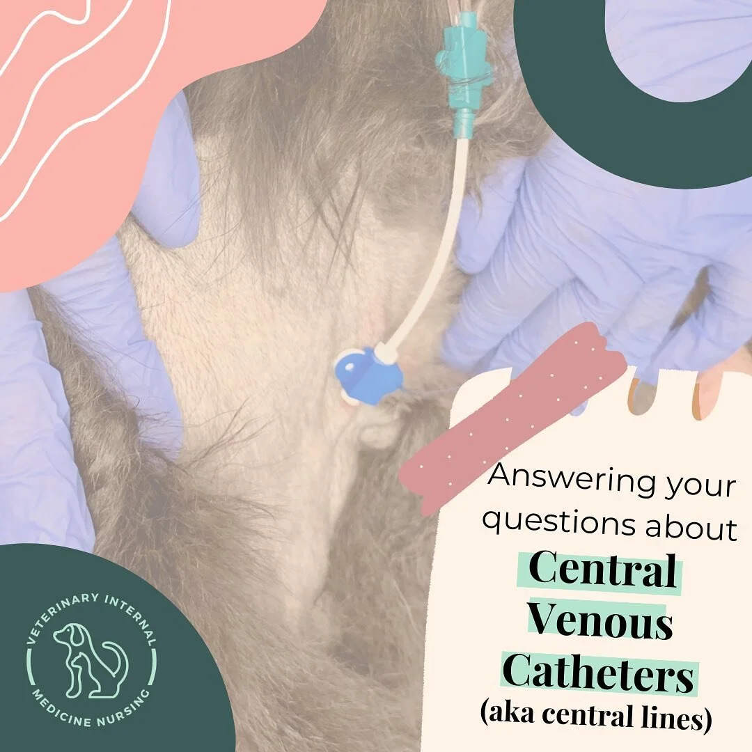 Veterinary Internal Medicine Nursing