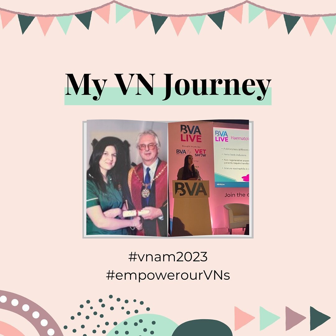 It's time for a (re)introduction 👋

And as it's #vnam2023, and the theme this year is 'Empowerment', I thought it only right to share the path nursing has led me down... and how I've felt empowered as an RVN.

(Swipe ➡️ for the lowdown... and a heft