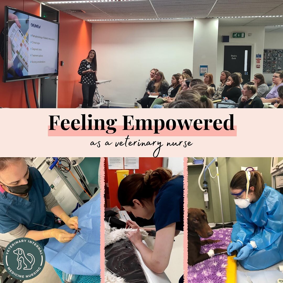 📣 LET'S TALK ABOUT FEELING EMPOWERED AS A VET NURSE 📣

The theme of #vnam2023 is 'Empowerment' - but what actually IS empowerment?
And how can we feel more empowered as VNs?

Over the years, I've learned that empowerment looks different to every in