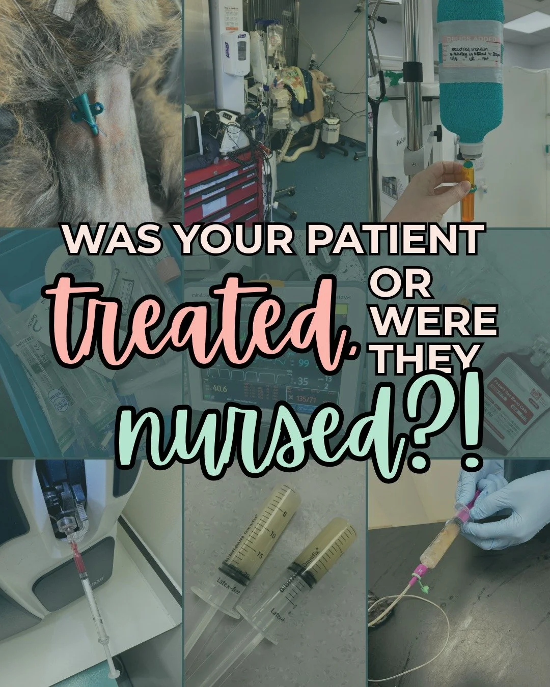 There&rsquo;s a difference...

Treating a patient and NURSING a patient aren't the same thing - and our patients need BOTH for the best outcome.

When our patients are hospitalised, we're quick to think about the medications, fluids, and intervention
