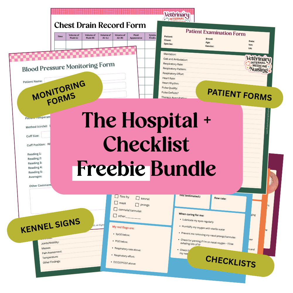 Freebie Bundle Graphics