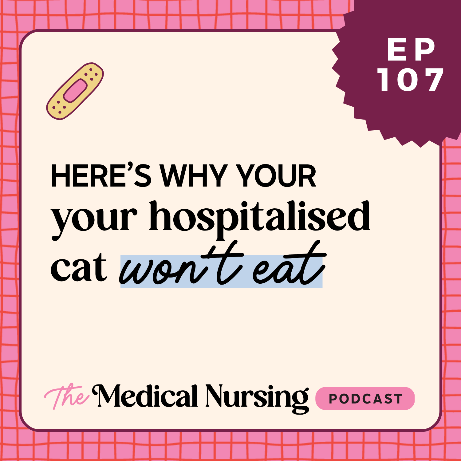 107 | Here's why your hospitalised cat won't eat (and what to do about it as a vet nurse)