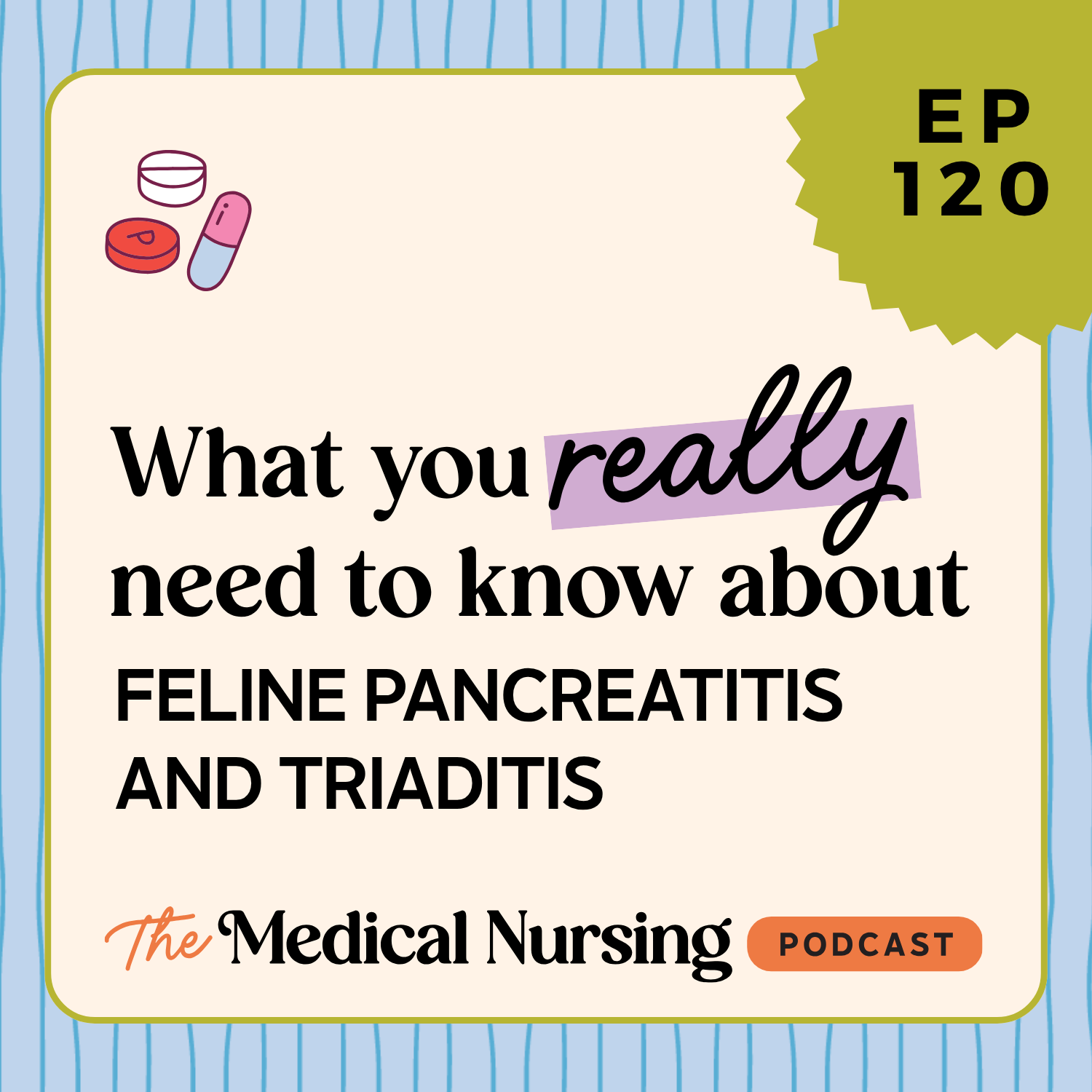 120 | Feline pancreatitis and triaditis: what do we REALLY need to know about it to nurse these patients confidently?
