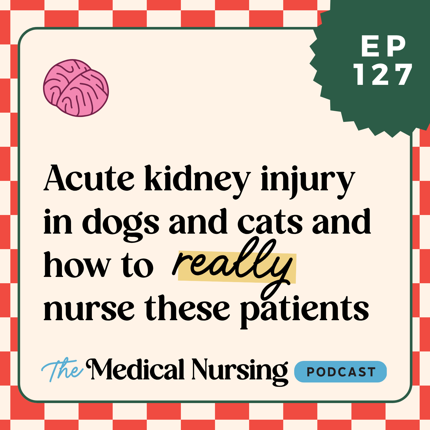 127 | Acute kidney injury in dogs and cats: myths, misconceptions, and how we should REALLY nurse these patients in 2026