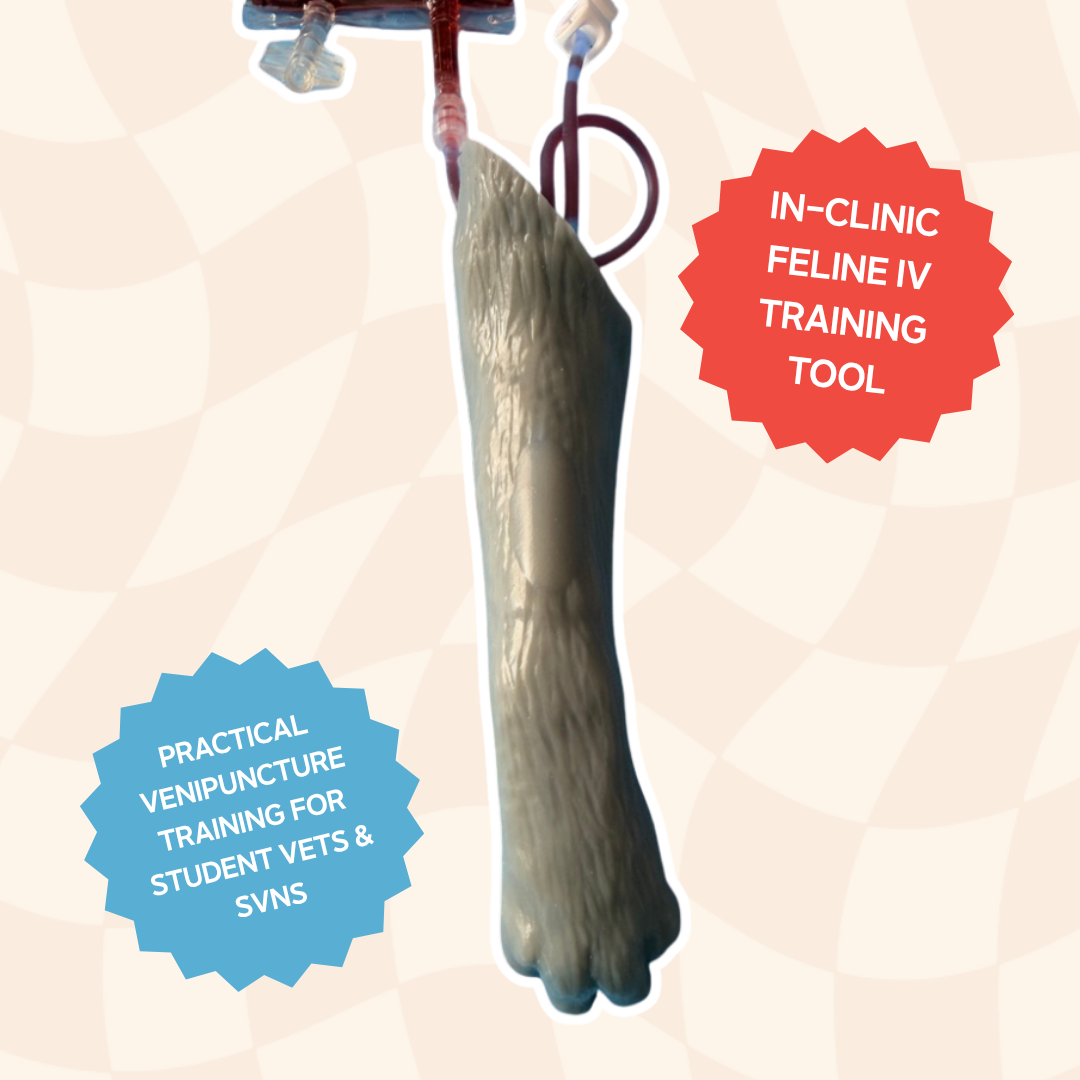 Cephalic Vascular Access Training Model