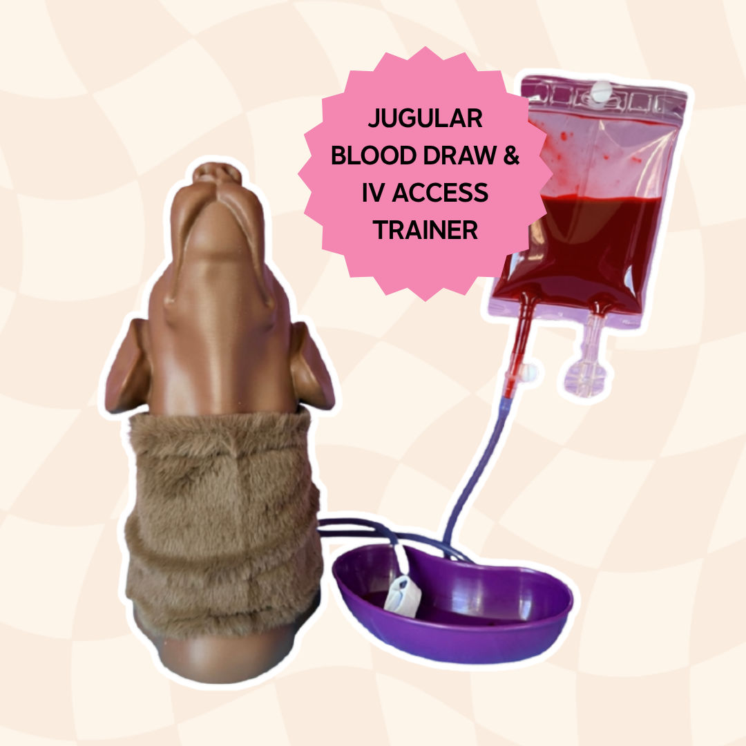 Jugular Vascular Access Training Model