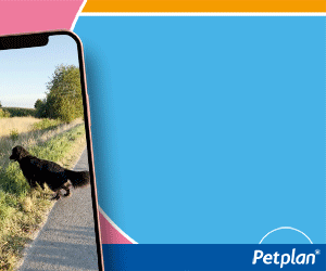 Banner_Petplan_300x250_V4.gif