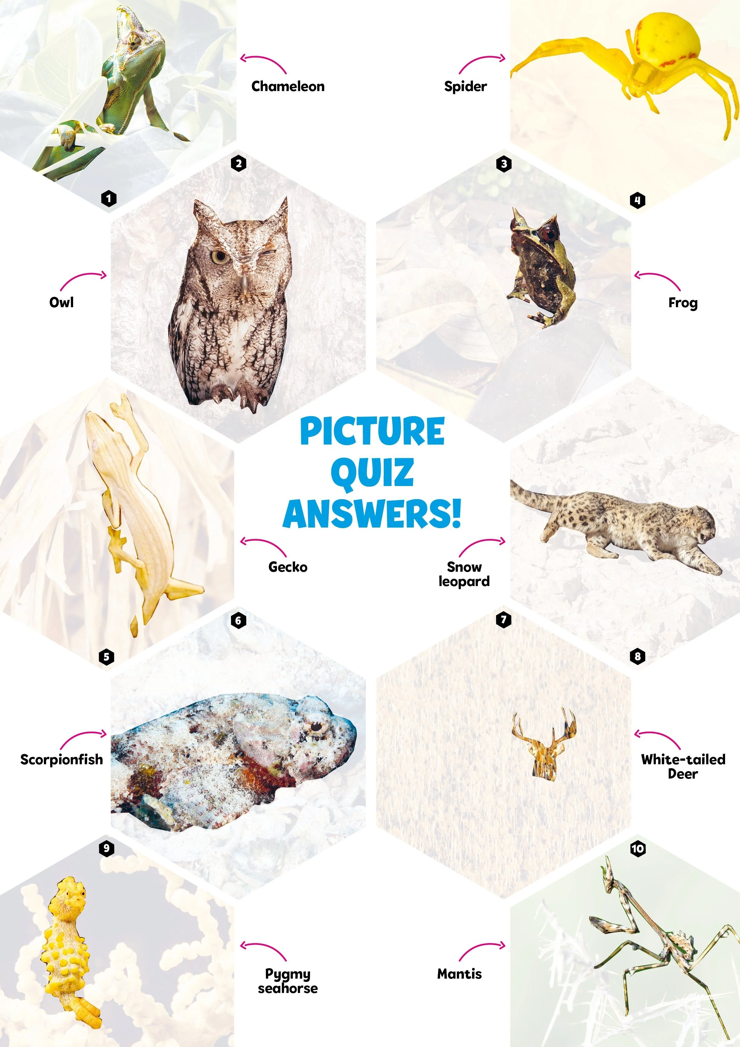 Picture Quiz – What on Earth! Magazine