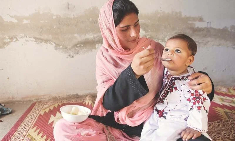 What Services Are Included in Modern Maternal and Child Healthcare Programs?