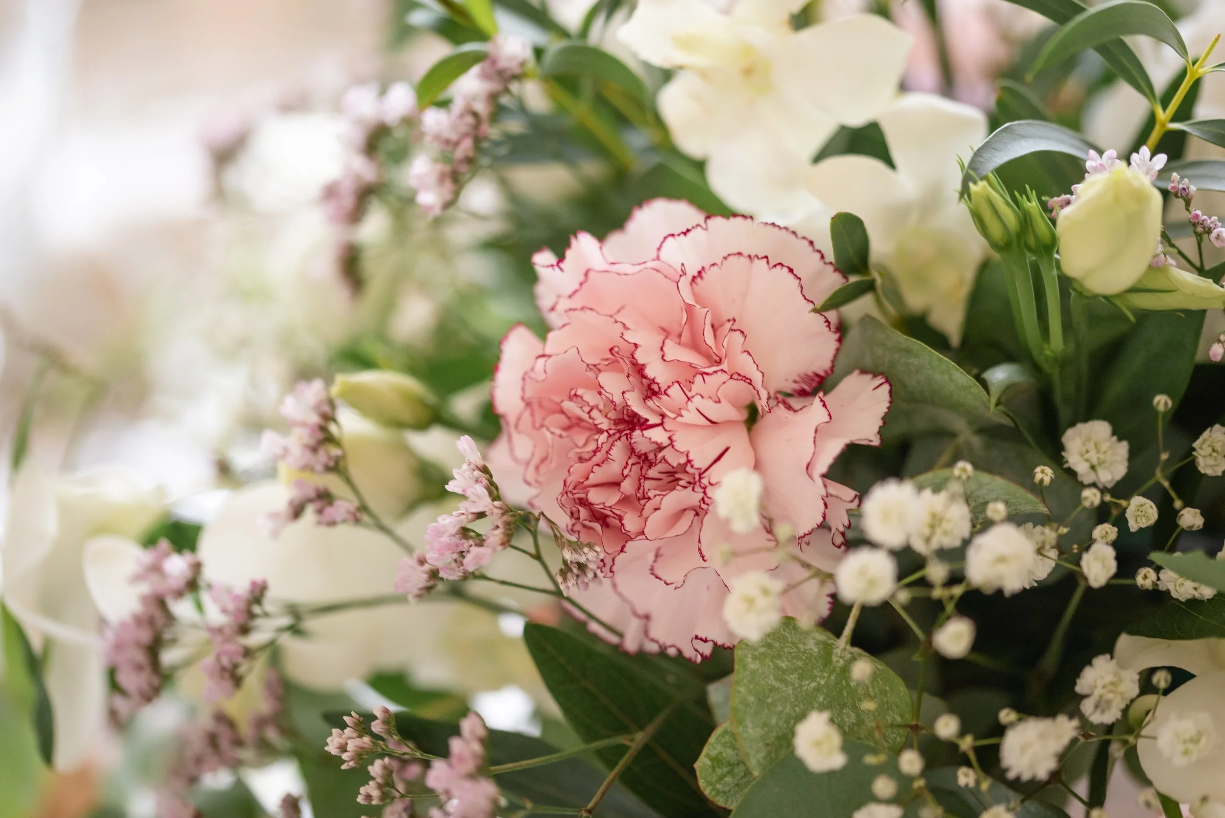 Un bouquet de fleurs avec une grande fleur rose à bords pourpres, entourée de petites fleurs blanches et de feuilles vertes.