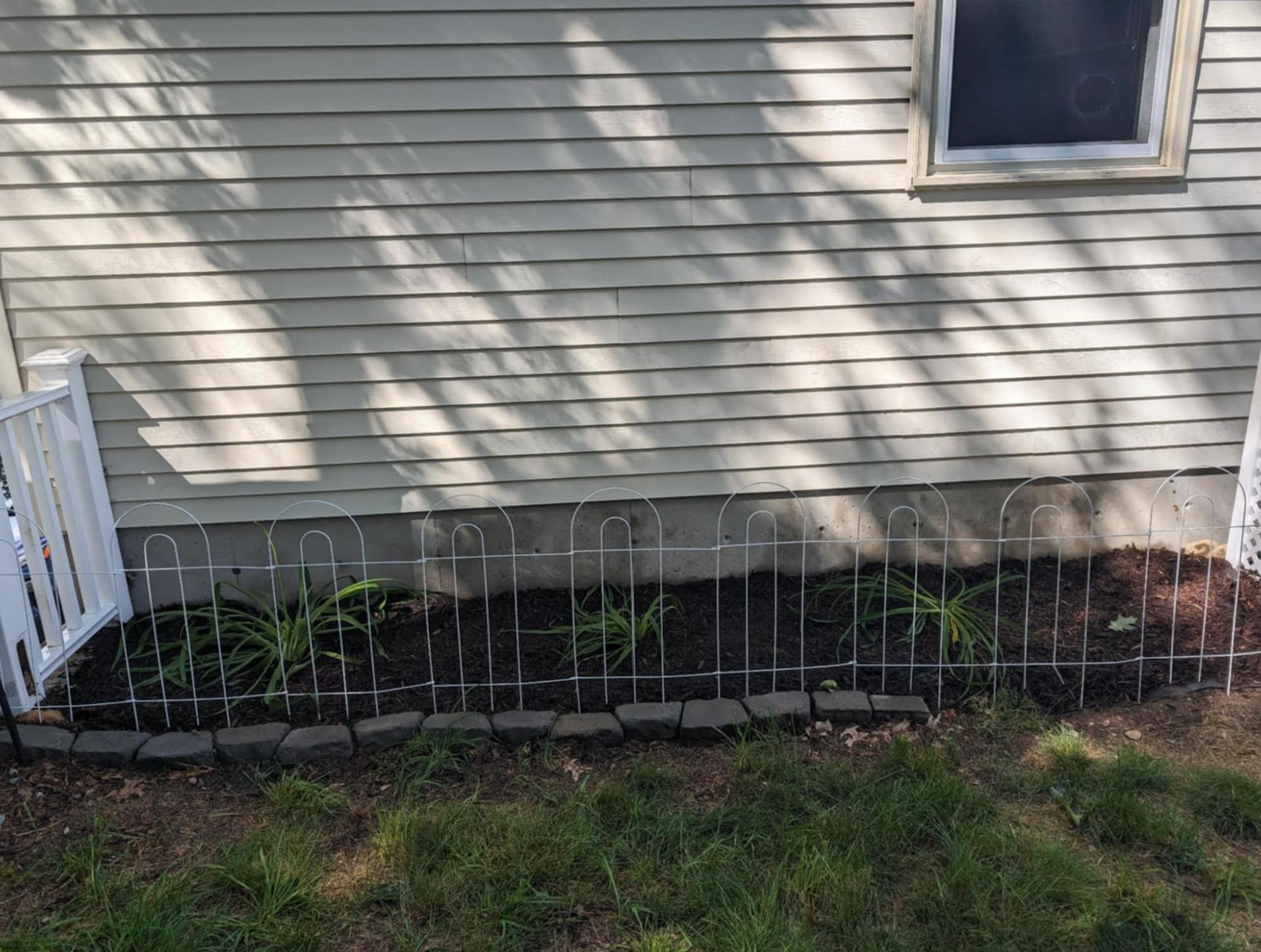 Backyard.png