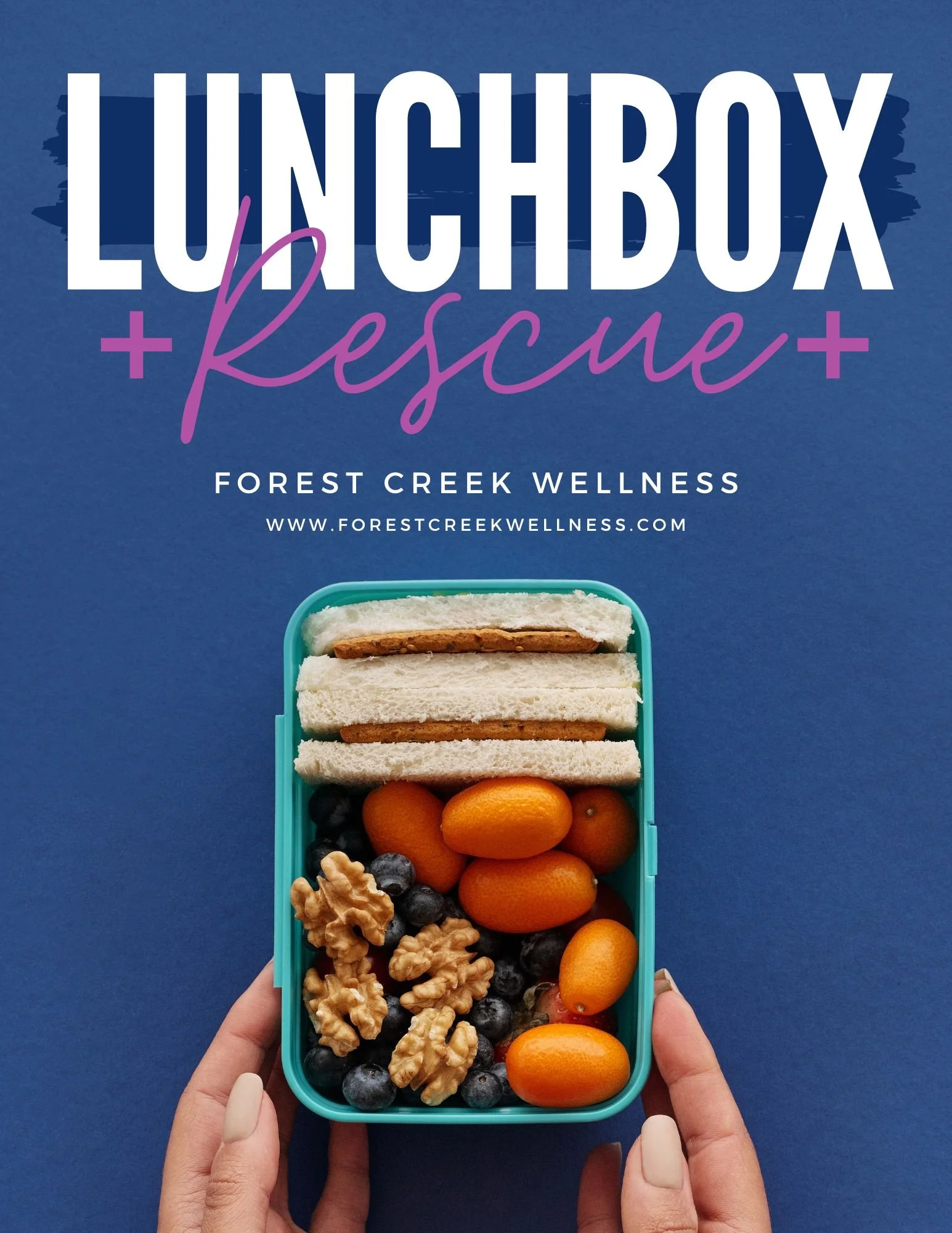 Lunch Box Rescue eBook