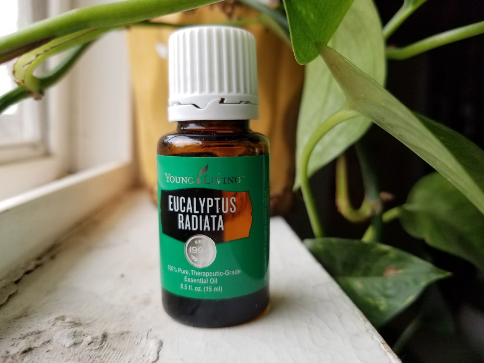 Top 10 Essential Oils for Athletes — Forest Creek Wellness