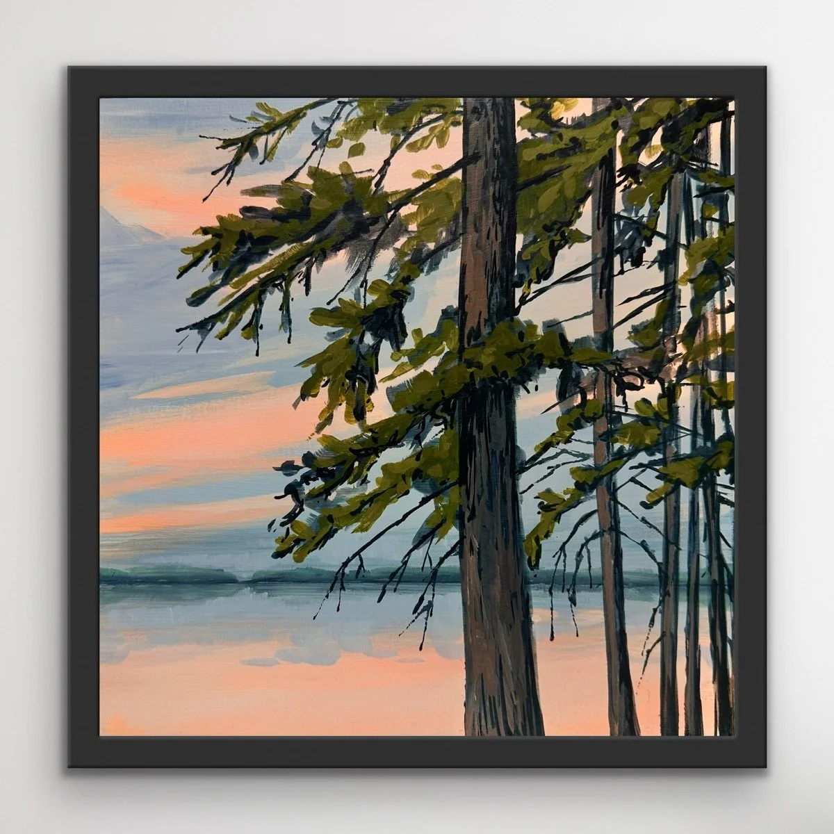 Main Beach Spruce II