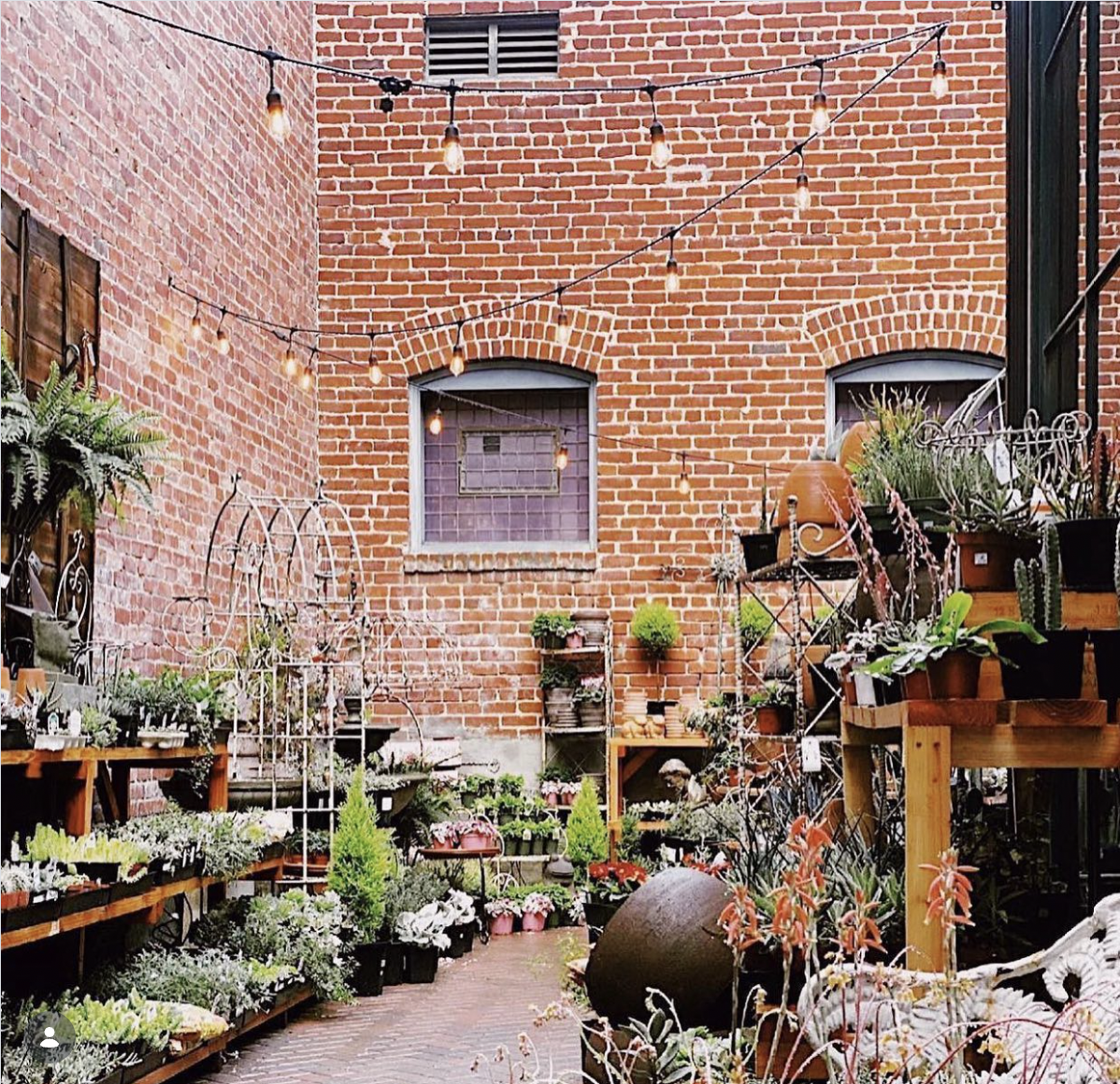 Screenshot 2026-02-06 at 4.03.45 PM.png