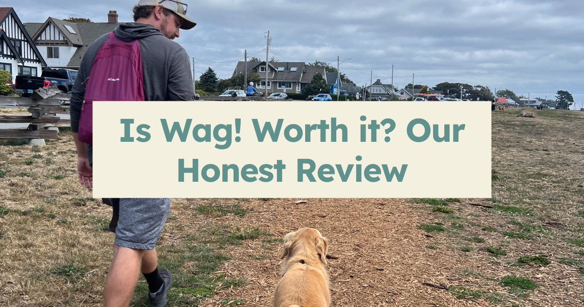 Is Wag! Worth it? We don’t think so and Here’s Why