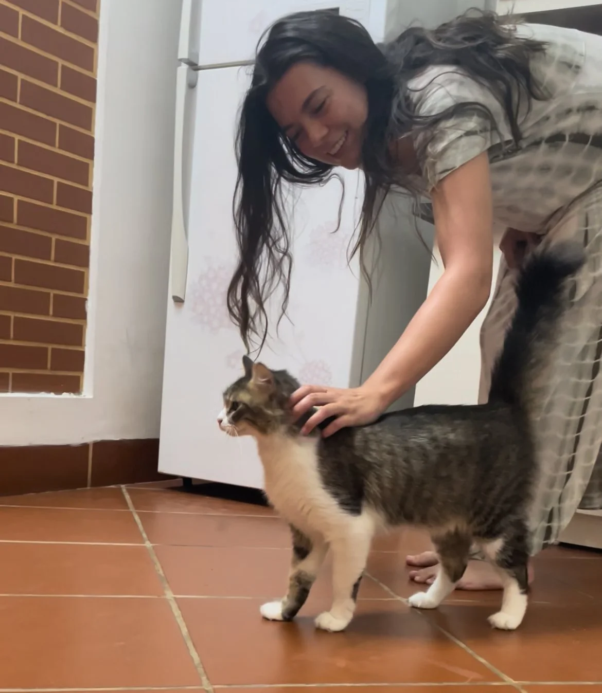 Cat Sitter, Cat Sitting, Bend, Oregon Cat Sit