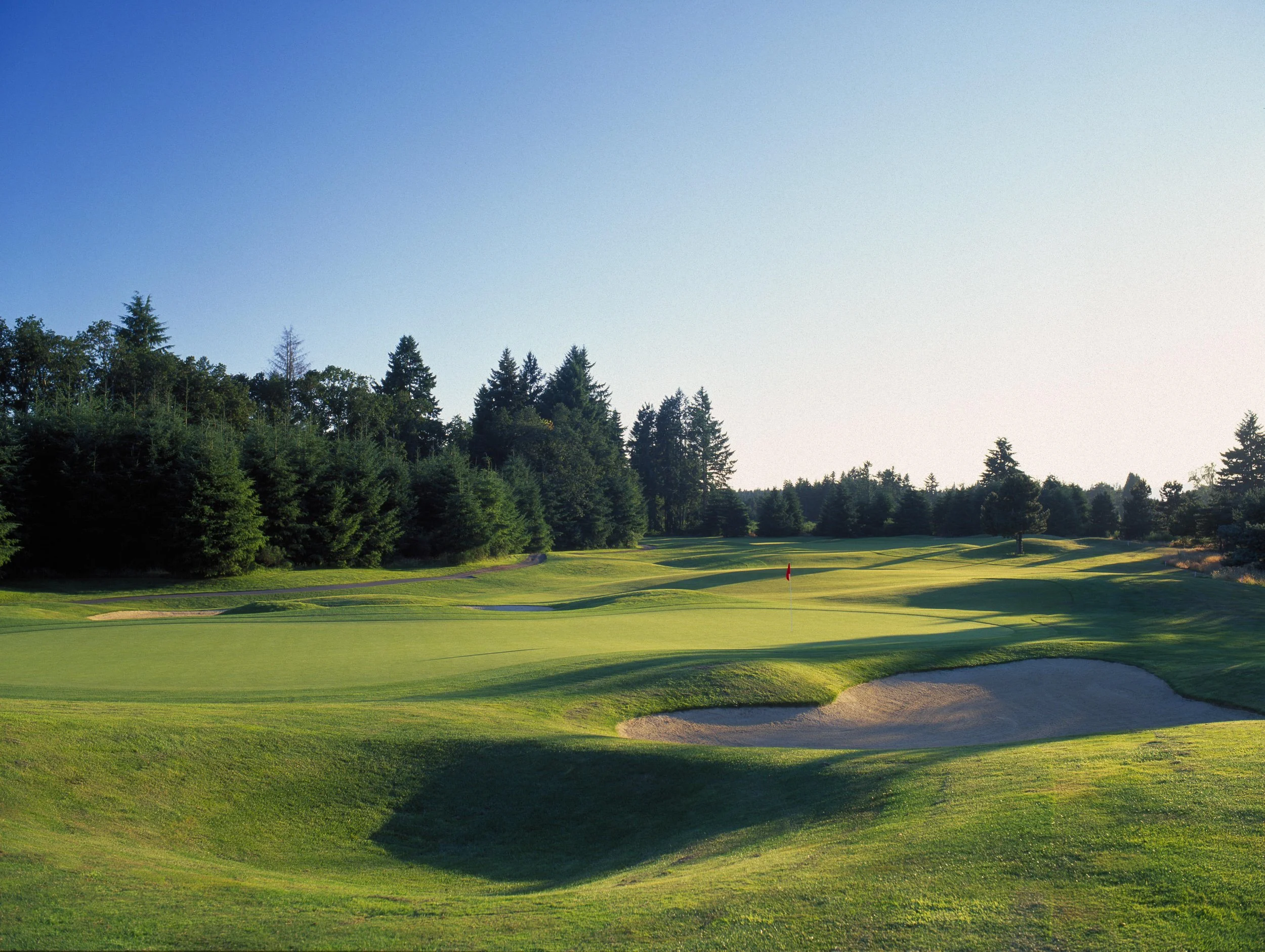 Forms Tacoma Women s Golf Association forms-tacoma-women-s-golf-association