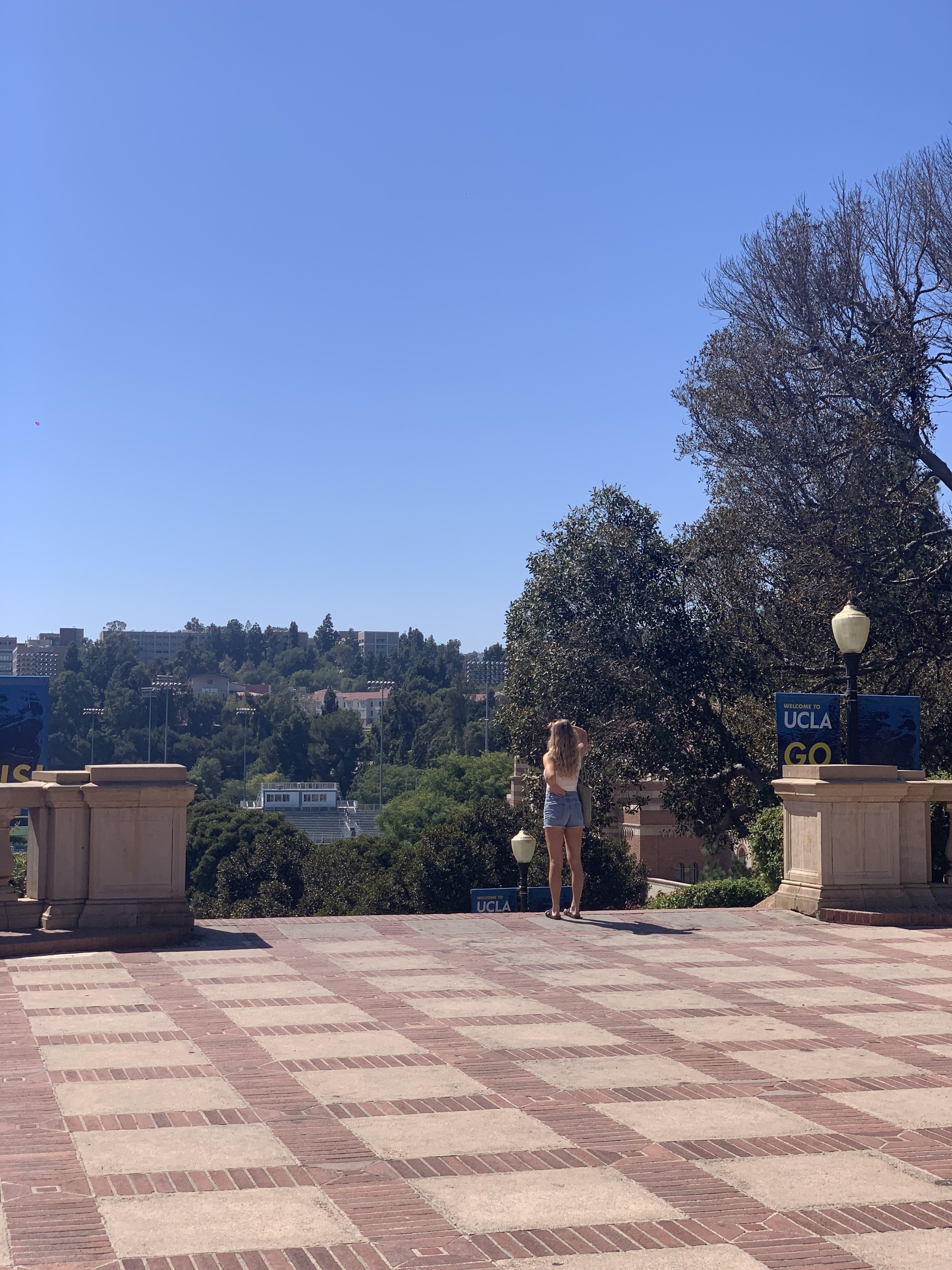 IMG_1741.jpeg