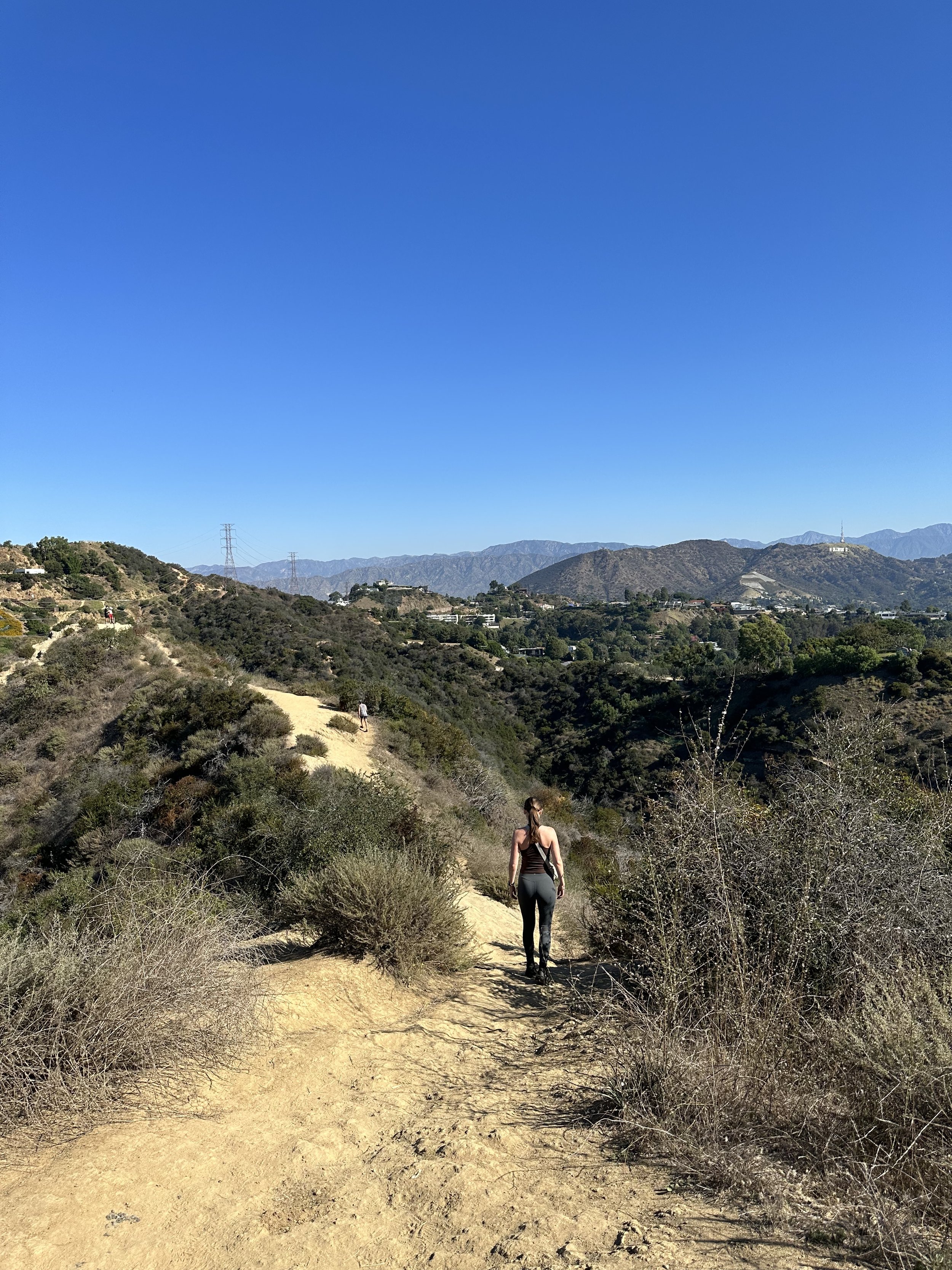IMG_0891.jpeg