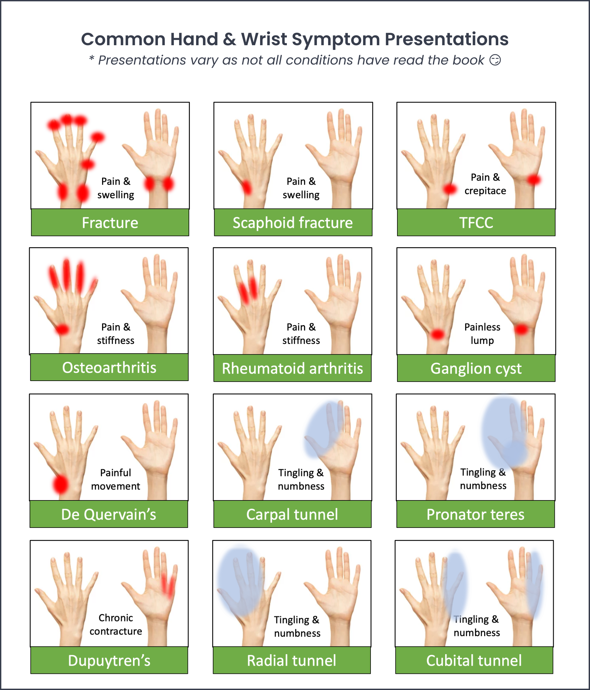 Chiropractic Hand And Wrist Physical Exam — Chiroup