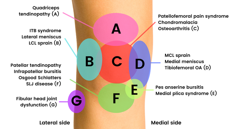 Master the 2-Minute Knee Exam: Essential Tests & Techniques for Knee ...
