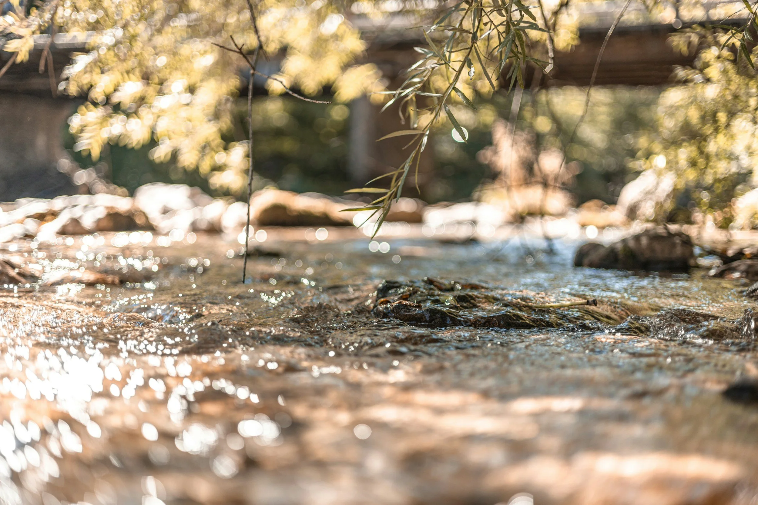 Peaceful stream image representing grounding and nervous system regulation in EMDR therapy in Los Feliz and Silver Lake