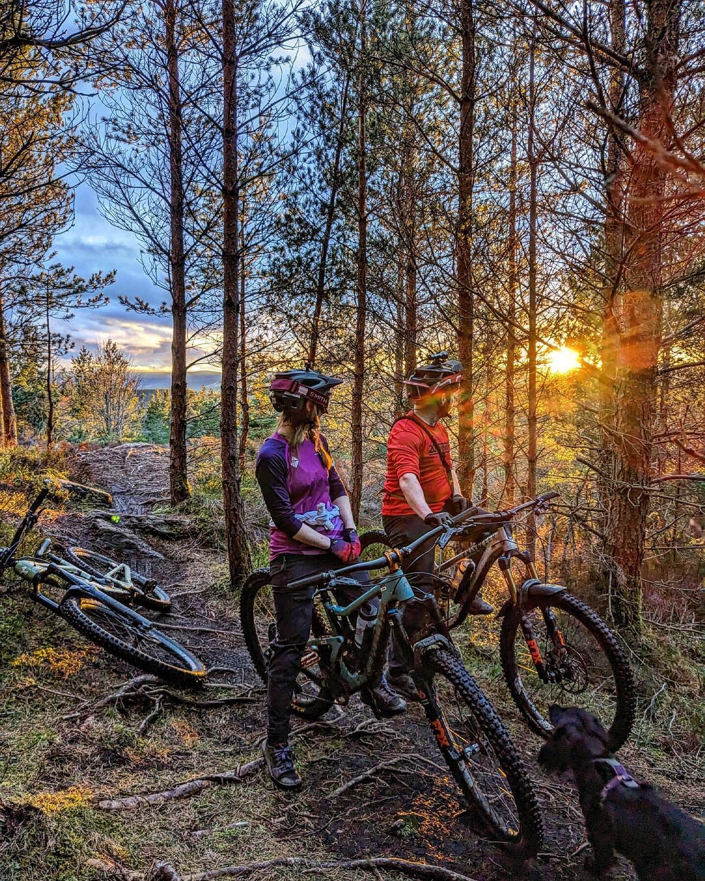 Not much better than golden hour rides 💛🧡

#mtbscotland #deesidemtb #ridescotland #guidedrides #mtbguide #ridemore #mtbphotooftheday