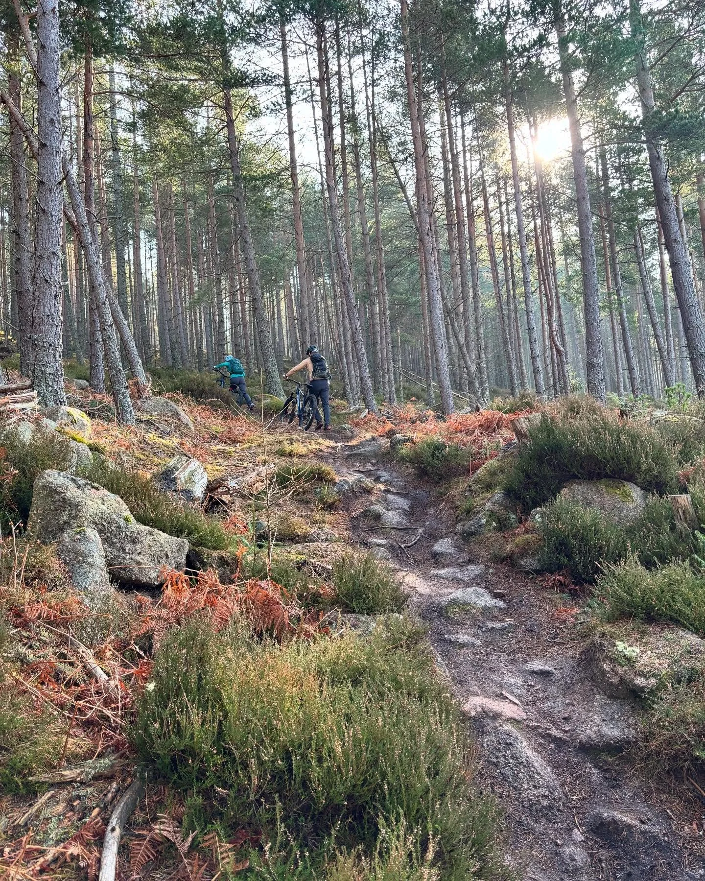What a beautiful morning for some coaching ☀️ the @aberdeenshiretrail Chutney and Relish trails are perfect for building confidence and working on a variety of features. These two were just getting in to mountain biking and were so impressive! 

#mtb
