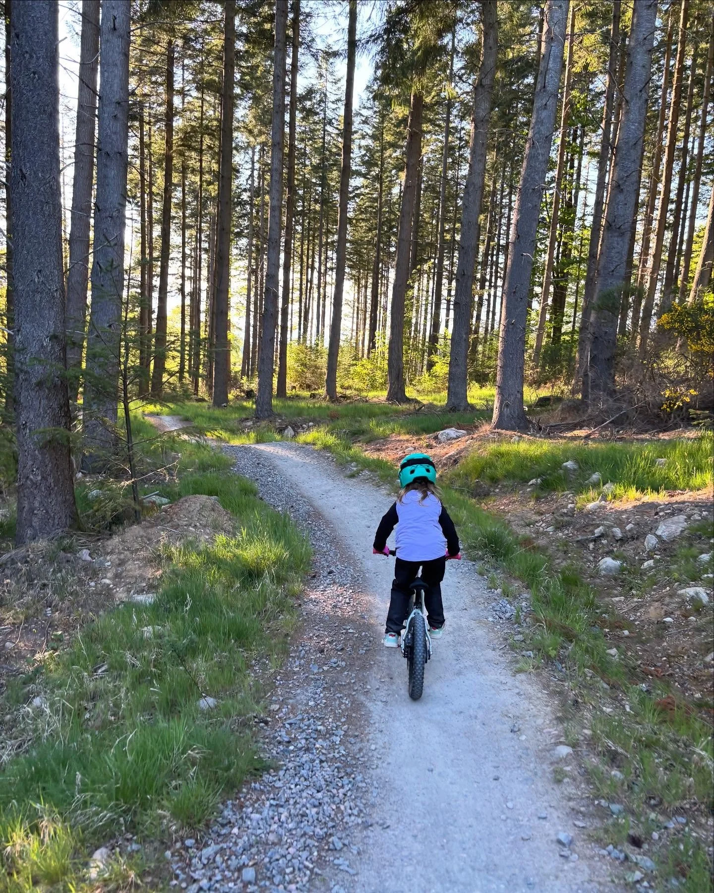 Another beautiful day at the Banchory Woodland Trails for some coaching 🙌 ☀️ 

#coaching #mtb #summerdays