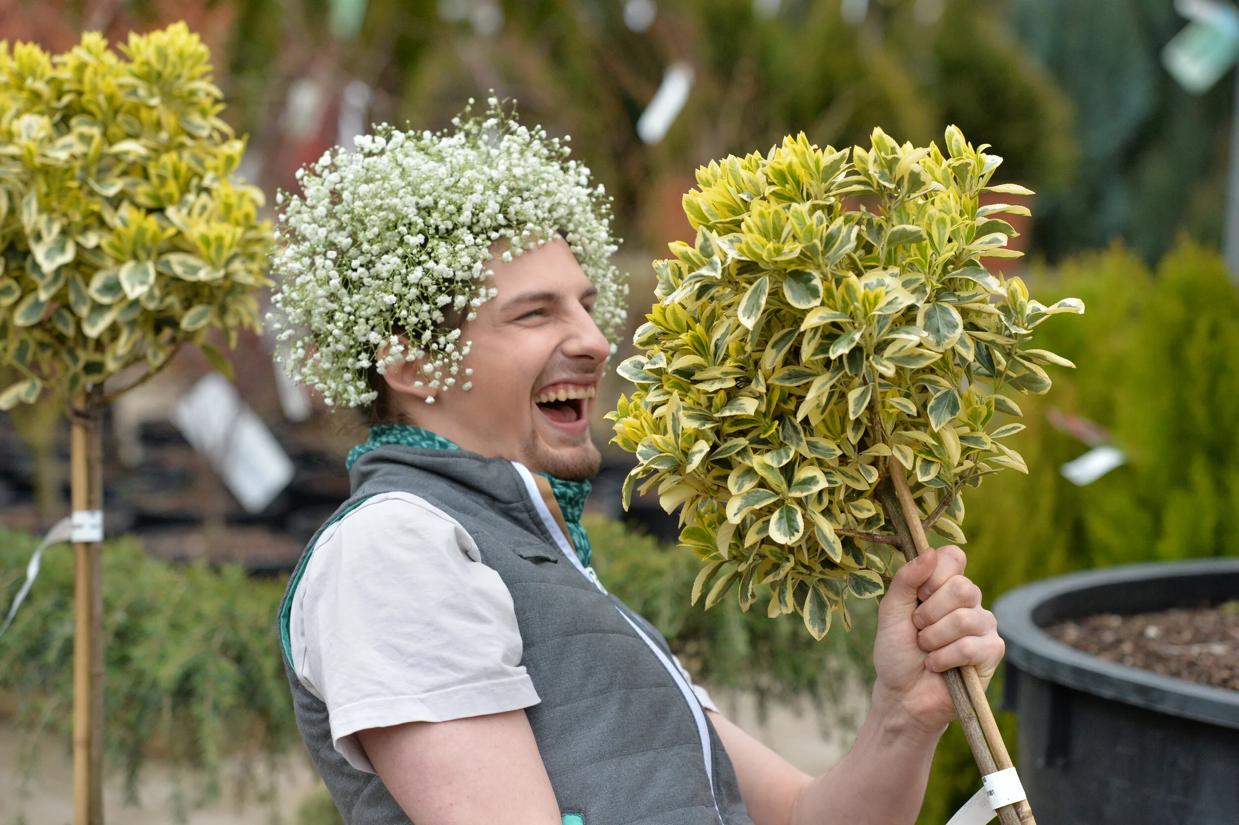Jeune homme souriant portant une couronne de fleurs blanches sur la tête, tenant un buisson vert et jaune, dans un jardin de pépinière.