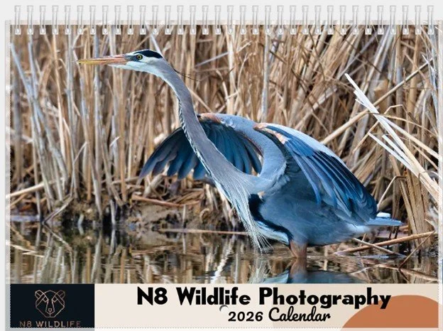 2026 Wildlife Calendar